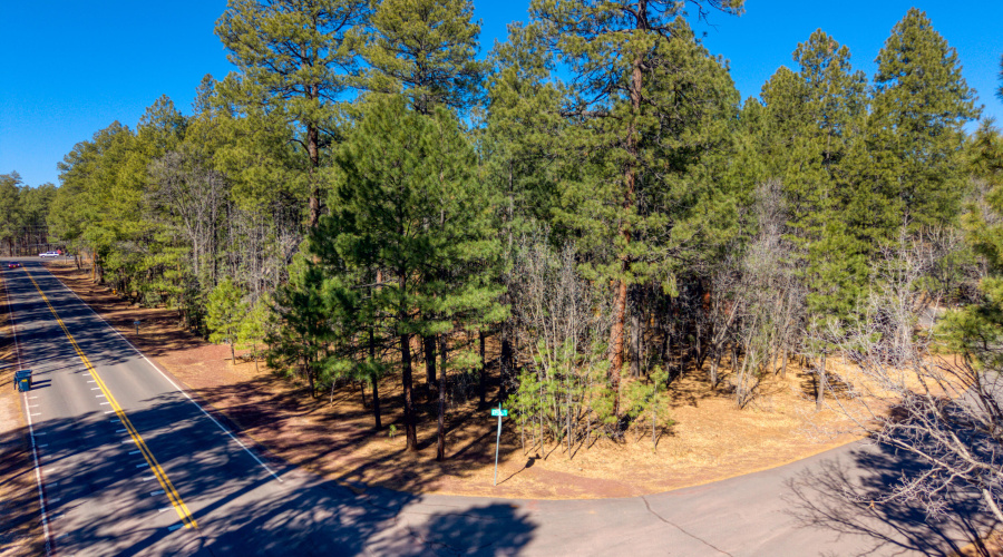 4250 Branding Iron Loop