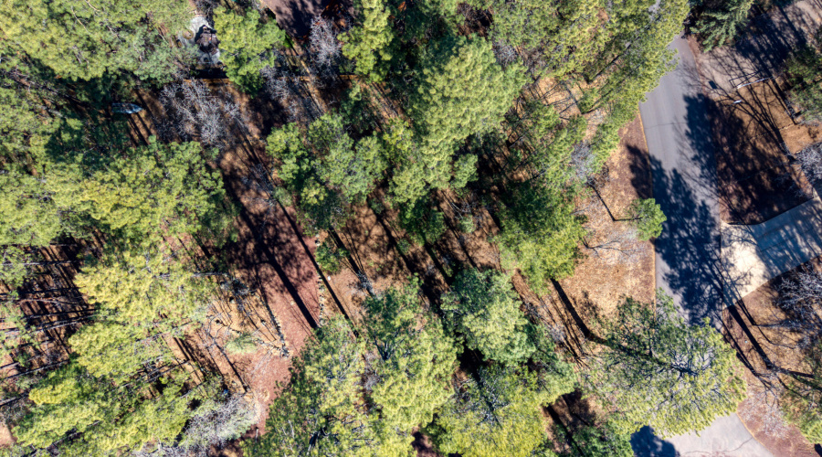 4250 Branding Iron Loop