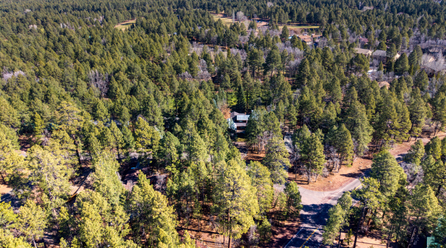 4250 Branding Iron Loop