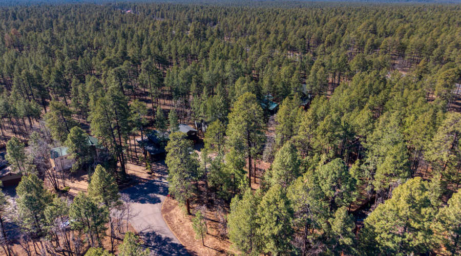 4250 Branding Iron Loop