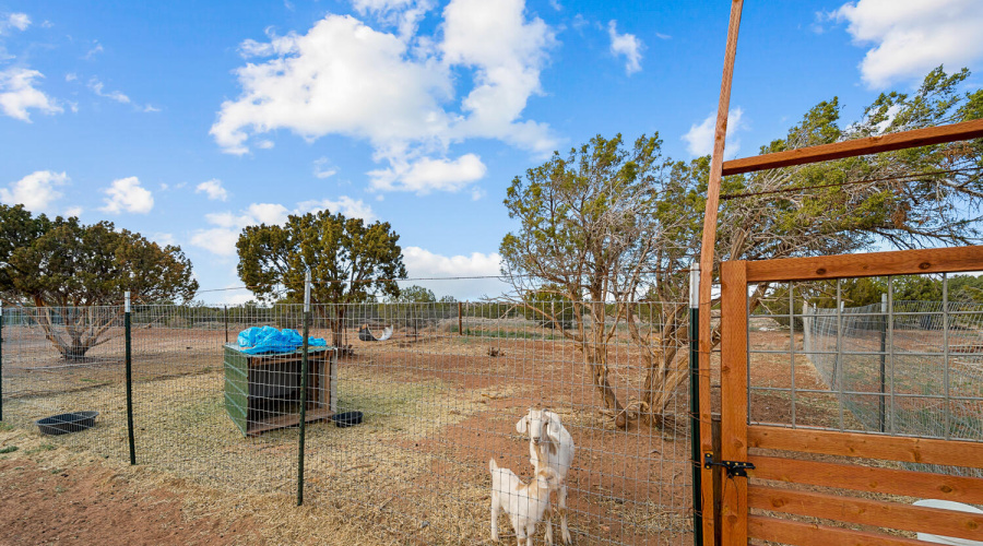 Great Area to Raise Animals