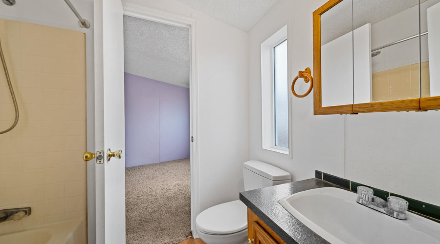 Jack and Jill Bathroom