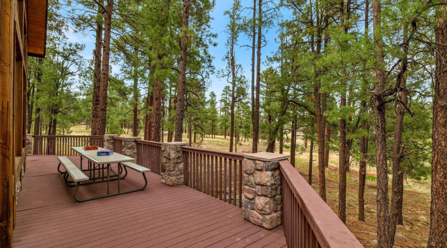 36CoRdN2147-Alpine-AZ-34