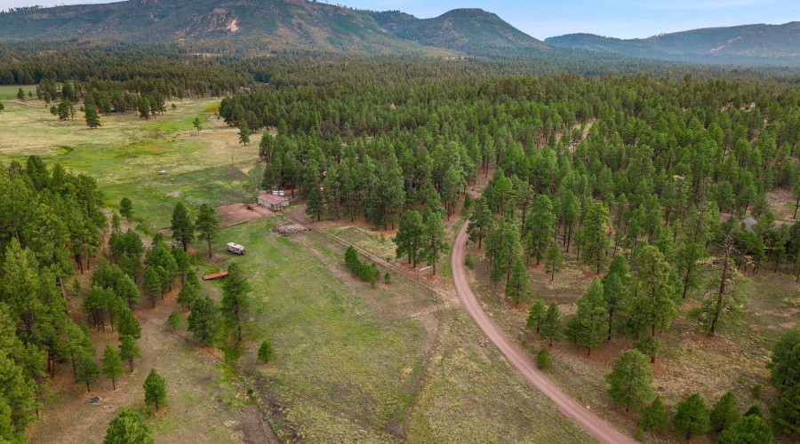 36CoRdN2147-Alpine-AZ-44