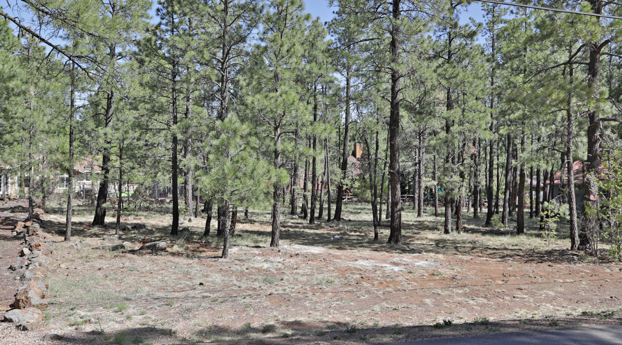 7466 Buck Springs Road, Pinetop, AZ