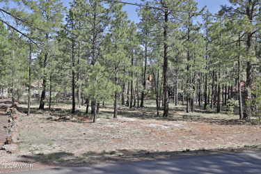 7466 Buck Springs Road, Pinetop, Arizona 85935, ,Land,For Sale,Buck Springs,259938