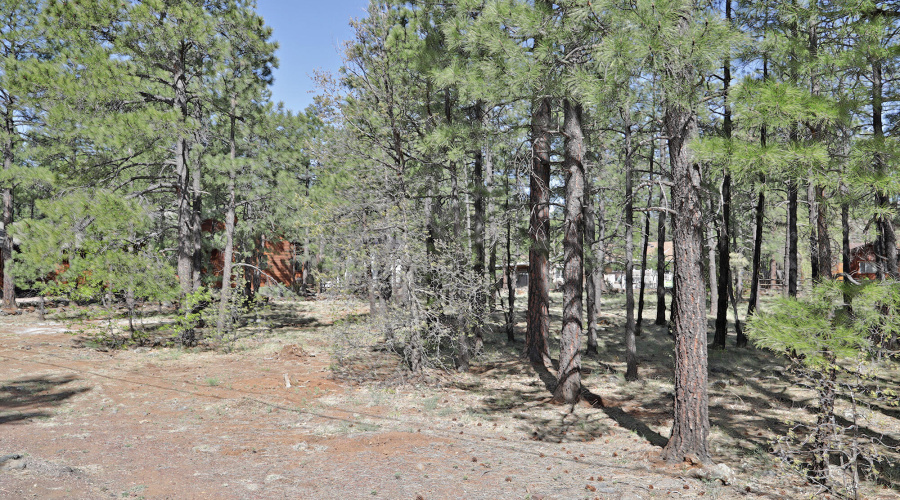 7466 Buck Springs Road, Pinetop, AZ