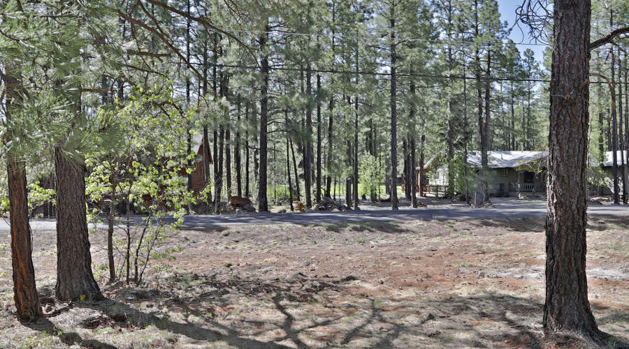 7466 Buck Springs Road, Pinetop, AZ
