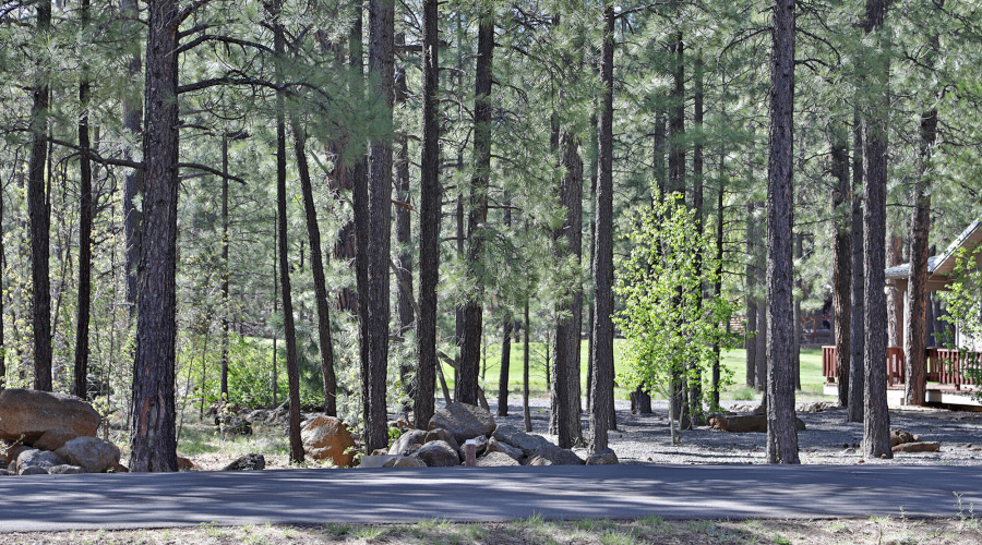 7466 Buck Springs Road, Pinetop, AZ