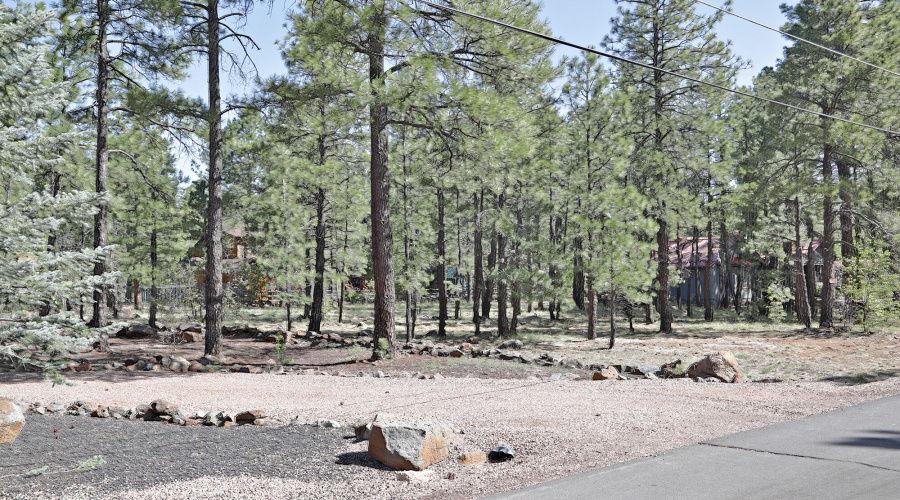7466 Buck Springs Road, Pinetop, AZ