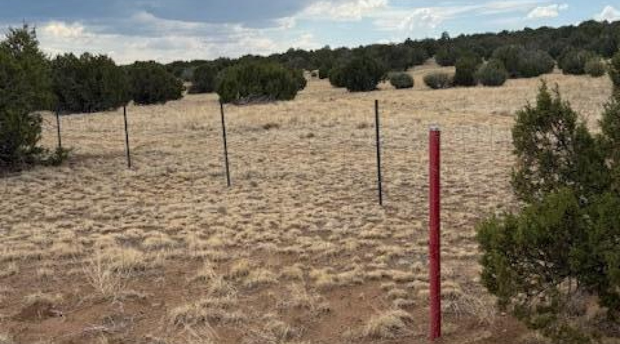 Fence