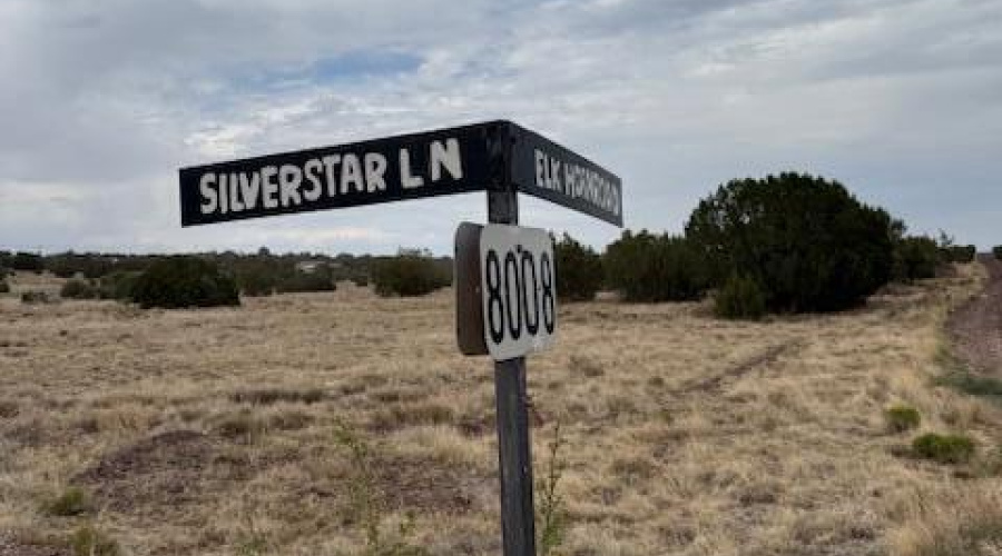 Silver Start 8015