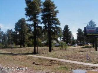 2182 E Street, Overgaard, Arizona 85933, ,Land,For Sale,E Street,242608