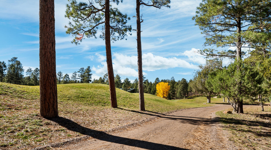 .47 Acre Lot