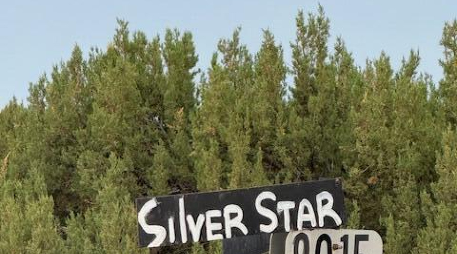 Silver Start 8015