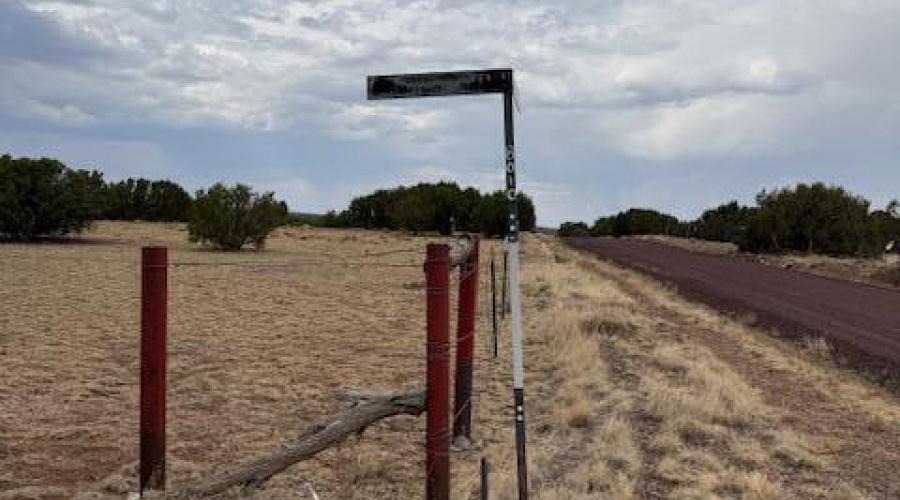 Palamino Rd 8010