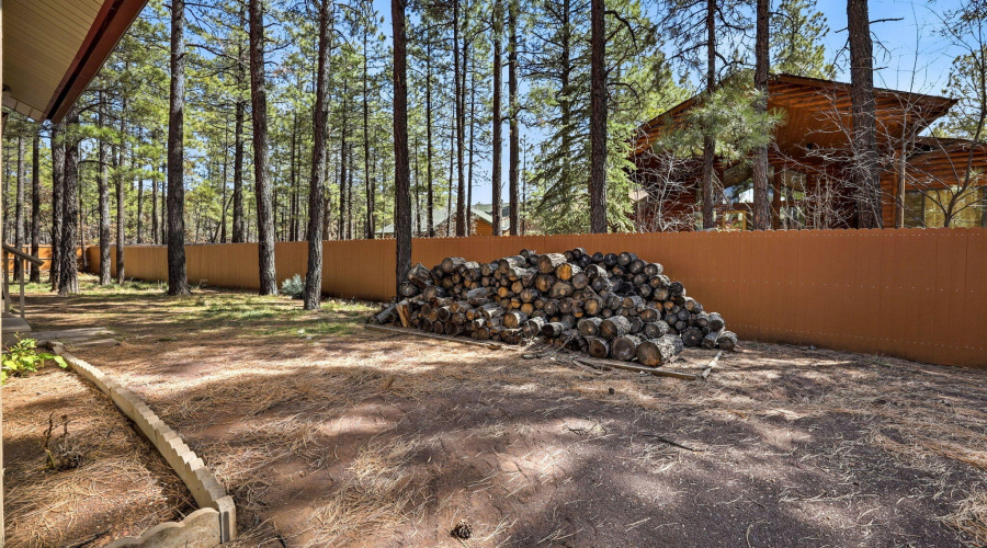 Back Yard (1)