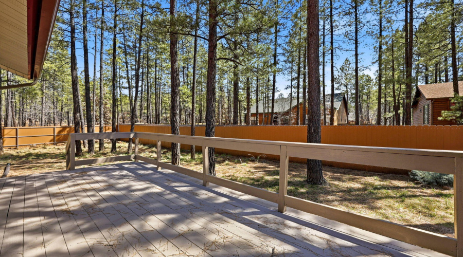 Rear Deck