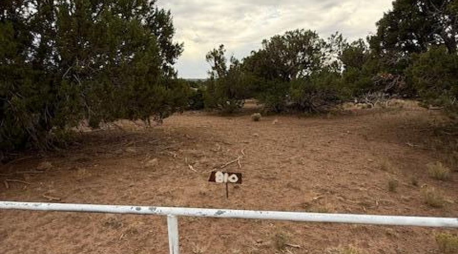 Pipe fence