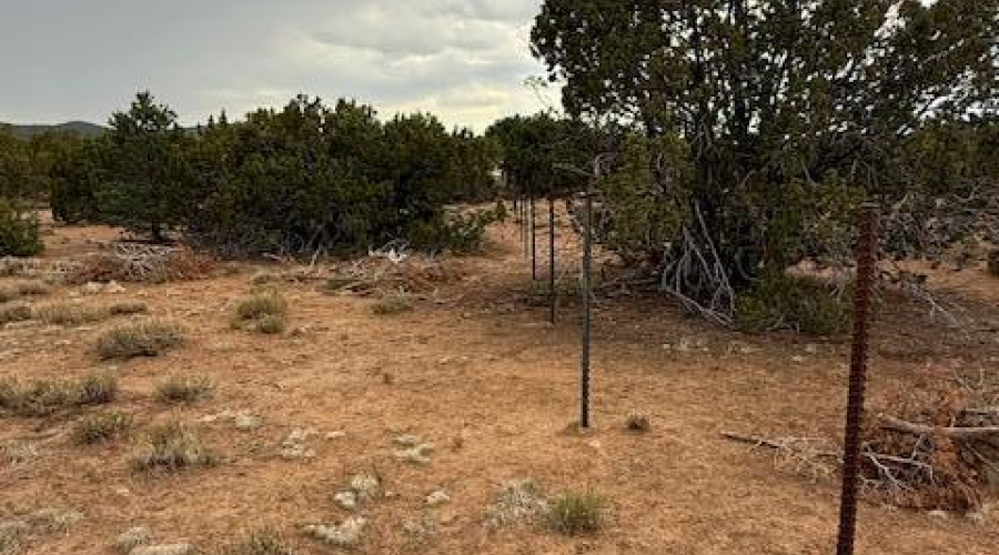 Wire Fence