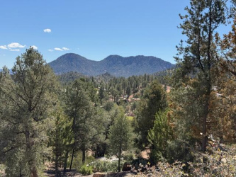 704 Shady Glade, Payson, Arizona 85541, ,Land,For Sale,Shady Glade,93583