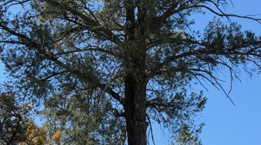 IMG_0101