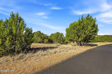 8379 Lake View Drive, Show Low, Arizona 85901, ,Land,For Sale,Lake View,259951