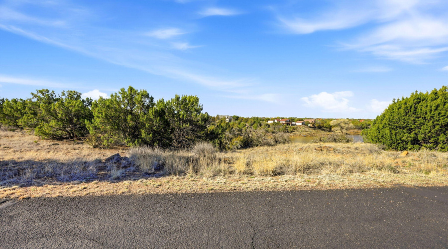 8379LakeViewDr-ShowLowAZ-2