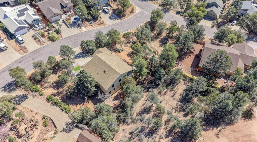 DJI_20260303113825_0343_D_4_D_5_D copy 2