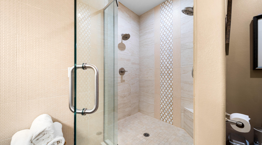 Primary Shower