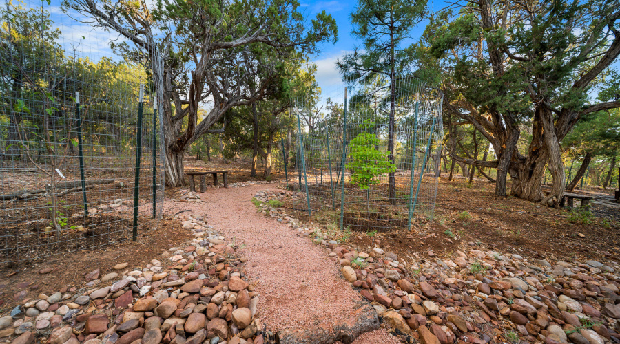 Path in Backyard