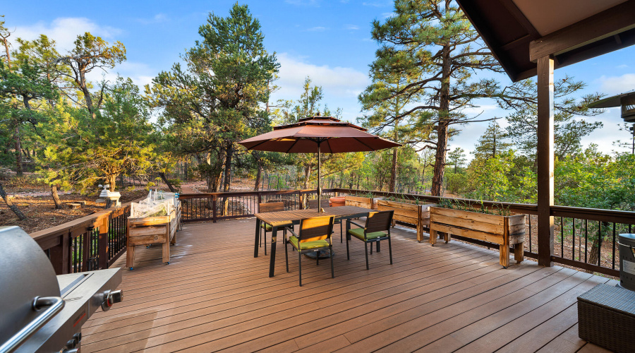 Back Trex Deck