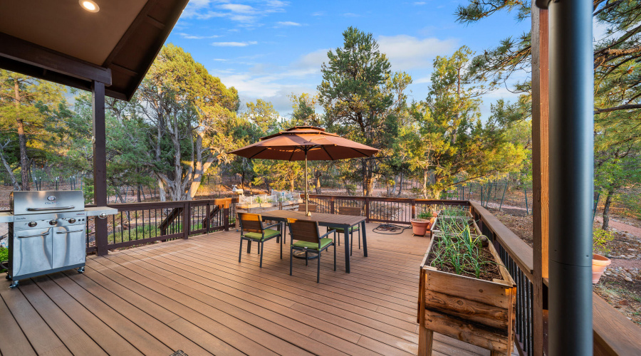 Back Trex Deck