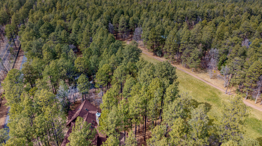 PaxmanPh_DJI_20260228003105_0046_D