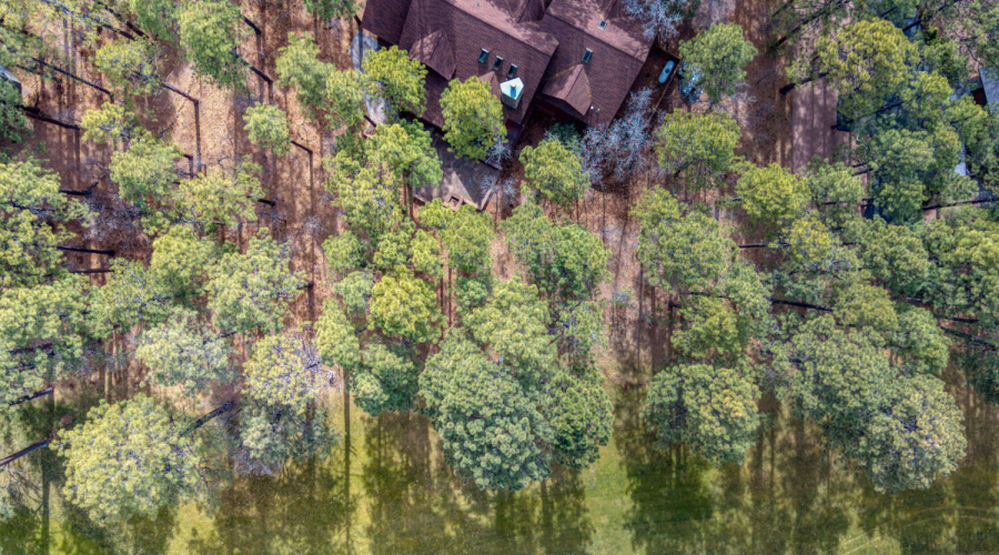 PaxmanPh_DJI_20260228002944_0025_D
