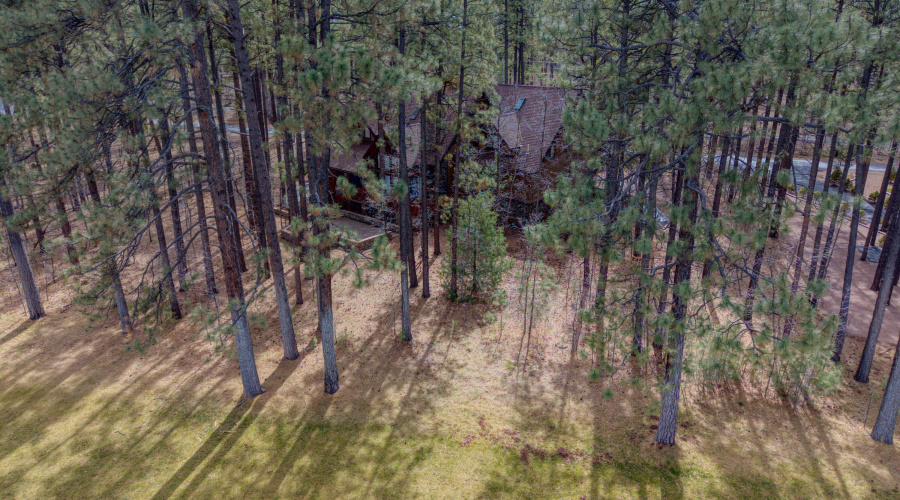 PaxmanPh_DJI_20260228003020_0032_D