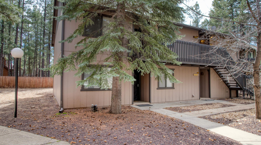 Treed Front Entrance