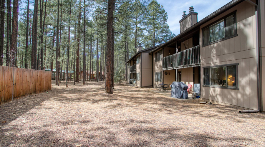 Backs to treed open area