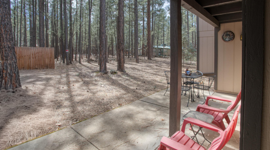 Back Patio