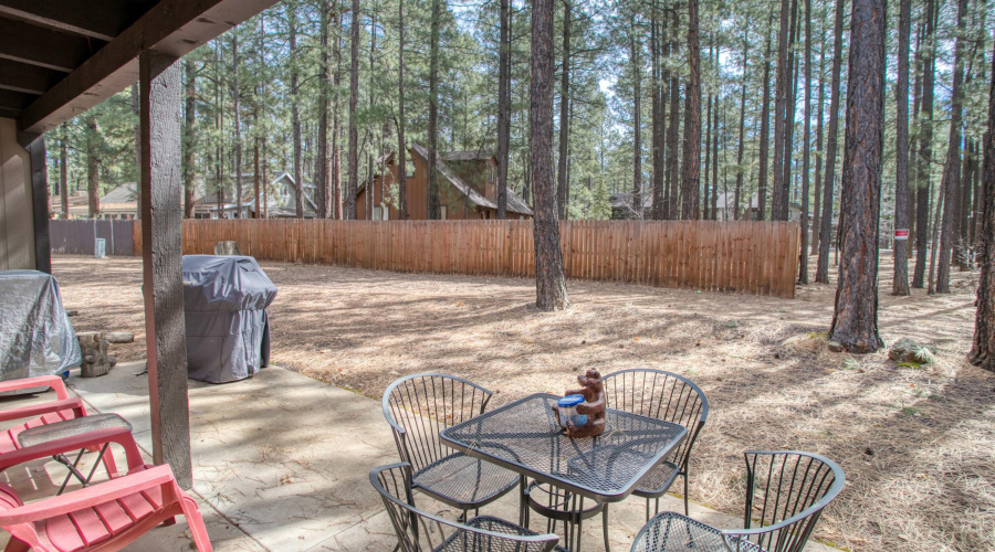 View from back patio