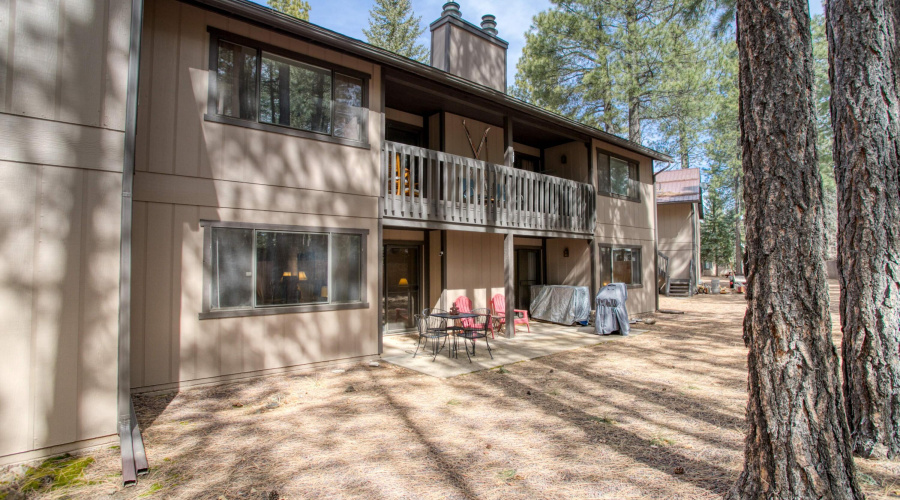 Treed Back Area
