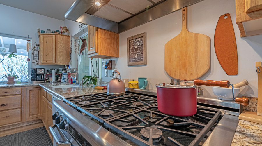 Gourmet oven