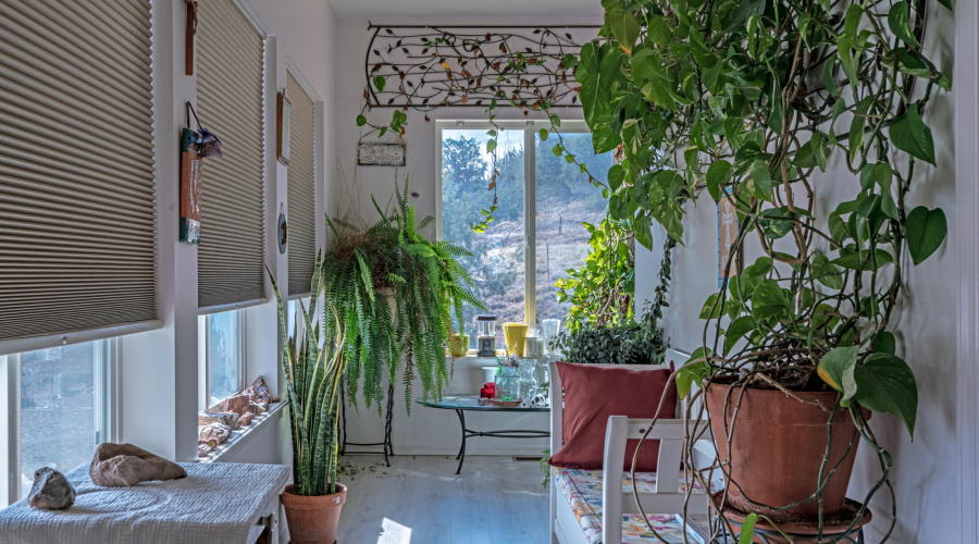 Hallway to laundr