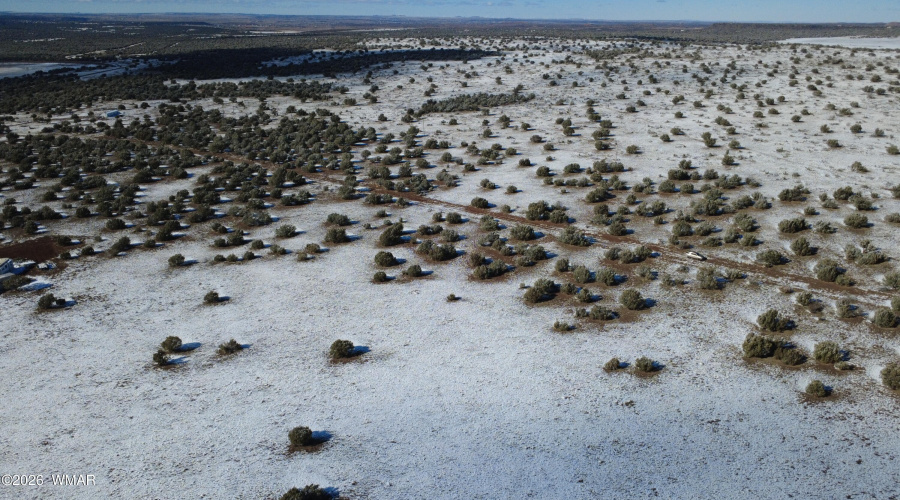 DJI_0331