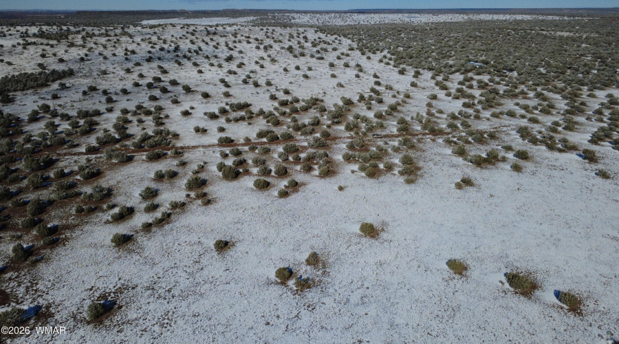 DJI_0332