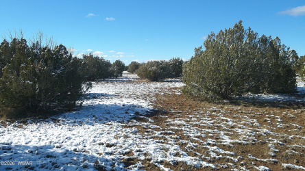 8577 Pine Lane, Snowflake, Arizona 85937, ,Land,For Sale,Pine,259268