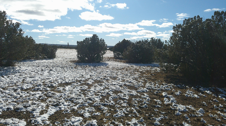 DSCF0005