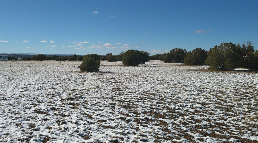 DSCF0007