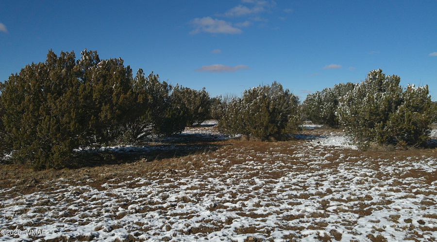 DSCF0008