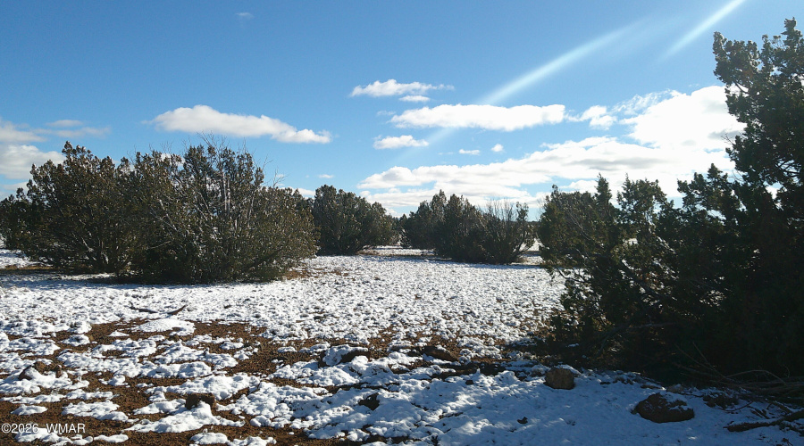DSCF0009